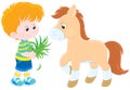 Boy feeds a pony Royalty Free Stock Photo