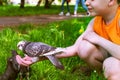 A boy feeds a tame pigeon from his hand.