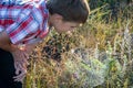 Boy on the field looking at the spider`s web Royalty Free Stock Photo