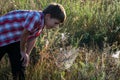 Boy on the field looking at the spider`s web Royalty Free Stock Photo