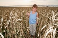 Boy of five years stands in a large wheat field Royalty Free Stock Photo