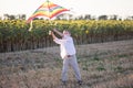 A boy flies a kite on a bright sunny day. Royalty Free Stock Photo