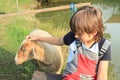 Boy fondling a sheep Royalty Free Stock Photo