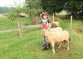 Boy stroking a sheep Royalty Free Stock Photo