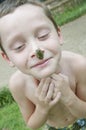 Boy with frog on nose Royalty Free Stock Photo