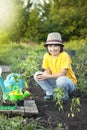 Boy in the garden admires the plant before planting. Green Sprout in Children Hands