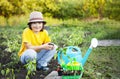 Boy in the garden admires the plant before planting. Green Sprout in Children Hands