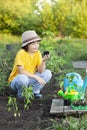 Boy in the garden admires the plant before planting. Green Sprout in Children Hands