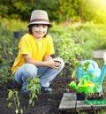 Boy in the garden admires the plant before planting. Green Sprout in Children Hands