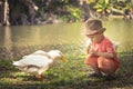 Boy and geese Royalty Free Stock Photo