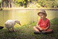 Boy and geese Royalty Free Stock Photo