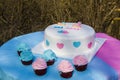 Boy or girl baby party cake