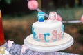 Boy or girl cake and different treats for baby shower party on table outdoors