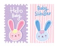 Boy or girl, gender reveal hello baby cute rabbits card