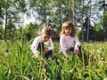 Boy and girl on the grass. Cute children gather meadow flowers and blow on dandelion seeds. Sister and brother are wearing white Royalty Free Stock Photo