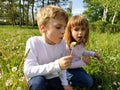 Boy and girl on the grass. Cute children pick meadow flowers and blow on dandelion seeds Royalty Free Stock Photo