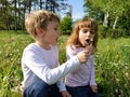 Boy and girl on the grass. Cute children pick meadow flowers and blow on dandelion seeds Royalty Free Stock Photo