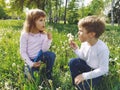 Boy and girl on the grass. Cute children pick meadow flowers and blow on dandelion seeds. Brother and sister are wearing white Royalty Free Stock Photo