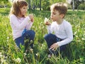 Boy and girl on the grass. Cute children pick meadow flowers and blow on dandelion seeds Royalty Free Stock Photo