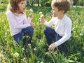 Boy and girl on the grass. Cute children pick meadow flowers and blow on dandelion seeds Royalty Free Stock Photo