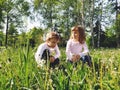 Boy and girl on the grass. Cute children gather meadow flowers and blow on dandelion seeds. The kids turned to each other Royalty Free Stock Photo