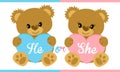 Cute vector character illustration. Teddy bear holding blue and pink heart. Gender reveal party.