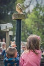 Children watching live bird show