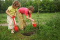 Boy and girl plant tree Royalty Free Stock Photo