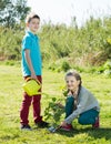 Boy and girl planting a tree Royalty Free Stock Photo