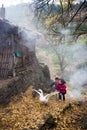 Boy and Girl Playing with Geese Royalty Free Stock Photo