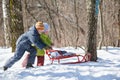 Boy and girl push sledge in winter in wood