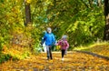 A boy and a girl running on an alley among yellow leaves Royalty Free Stock Photo