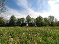 A boy and a girl are running around the field. Children catch up with each other in the grass. A wide field with flowered Royalty Free Stock Photo