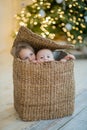 Boy and girl sit in the box near crismas tree Royalty Free Stock Photo