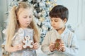 Boy and girl sit on floor under Christmas tree. children eat ginger man. Waiting for Christmas. Celebration. New Year. Children ea Royalty Free Stock Photo