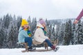 Boy and girl sledding in a snowy forest. Outdoor winter kids fun for Christmas and New Year. Children enjoying a sleigh Royalty Free Stock Photo