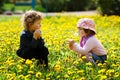 Boy and girl in summer flowers field Royalty Free Stock Photo
