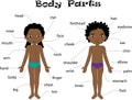 Boy and girl unclothed. Body parts, anatomy Royalty Free Stock Photo