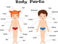 Boy and girl unclothed. Body parts, anatomy Royalty Free Stock Photo