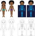 Boy and girl unclothed. Kids bodies by X-ray. Educational coloring book for kids Royalty Free Stock Photo