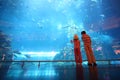 Boy And Girl In Underwater Aquarium Tunnel