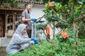 boy and girl use pruning shears to trim the leaves Royalty Free Stock Photo