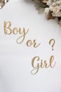boy or girl on white gender party board Royalty Free Stock Photo