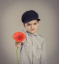 Boy giver red flower. Royalty Free Stock Photo