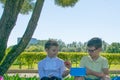 Boy gives an apple to a girl resting in the fresh air Royalty Free Stock Photo