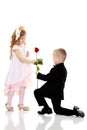 The boy gives the girl a flower. Royalty Free Stock Photo