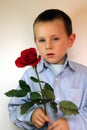 Boy giving flowers Royalty Free Stock Photo
