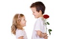 Boy giving rose to a little girl Royalty Free Stock Photo