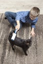 The boy with glasses sits on the carpet and holds a brush for cleaning clothes in his hand and cleans a black cat with it. The cat Royalty Free Stock Photo