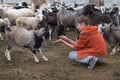 Boy and a goat Royalty Free Stock Photo